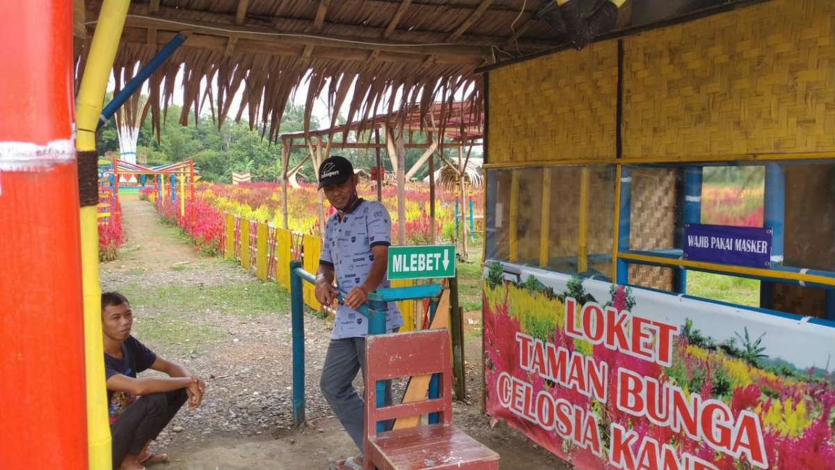 Wisata Sepi, Pengelola  Taman Bunga Celosia Desa Kanding Rugi