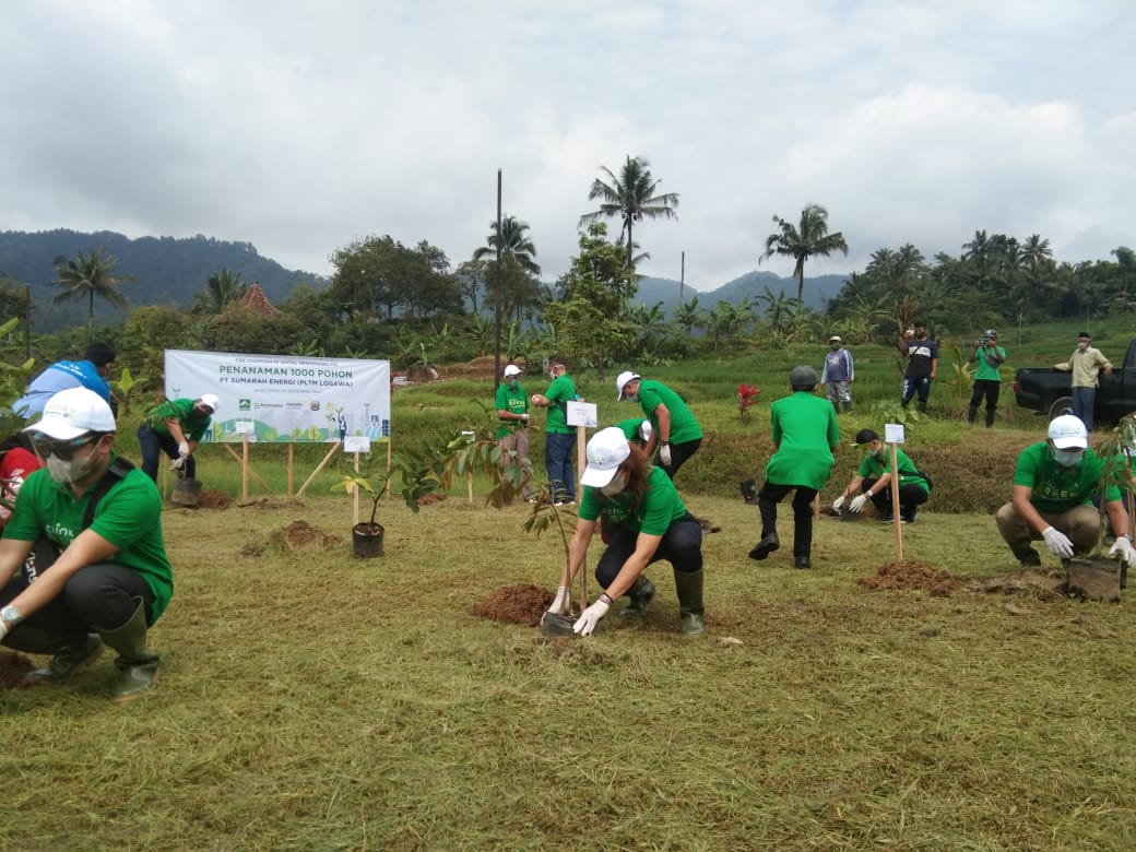 PLTM Logawa Tanam 1.000 Pohon Di Baseh