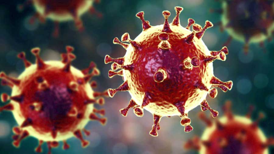 Varian Baru Virus Corona Ditemukan di Afrika Selatan