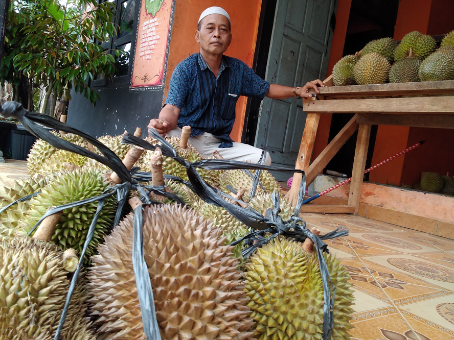 Panen Anjlok, Harga Durian Naik, Akibat Tingginya Intensitas Hujan
