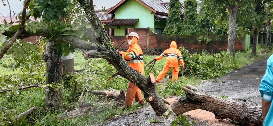 Hujan Satu Jam di Purbalingga, Pohon Tumbang dan Fasilitas Rusak