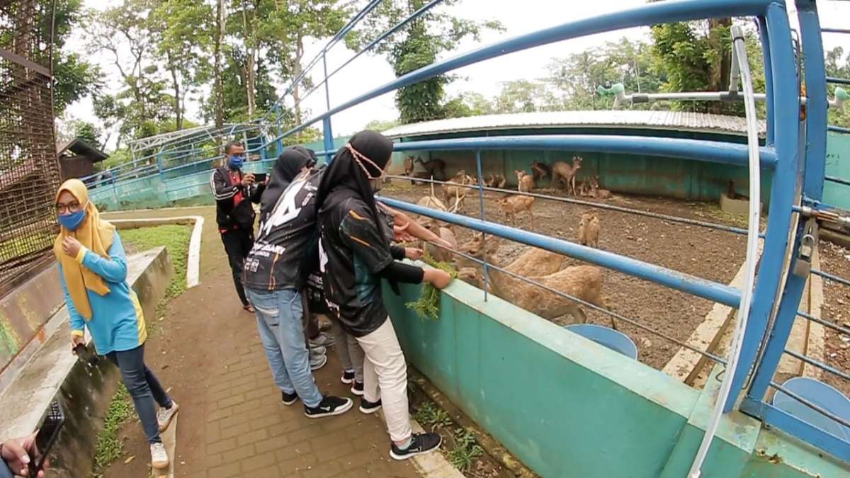 Kolam Renang Tutup, Bonbin Tetap Buka