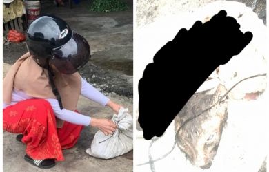 Viral! Kucing Dipotong, Dikuliti untuk Dimakan, Pemilik: Polsek Tanpa Tanggapan, Siap Lapor Polda