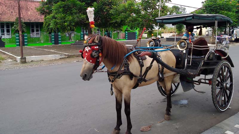 Upaya Dukung Pengembangan Kota Lama, Blusukan Demi Potensi Wisata