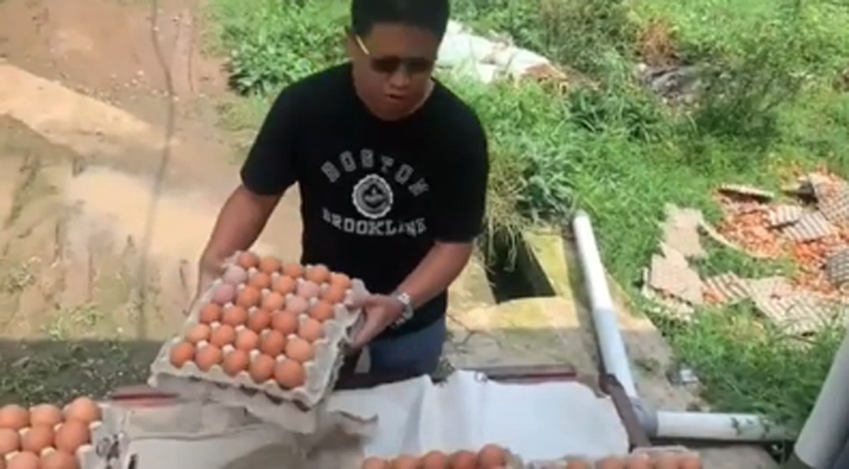 PPKM Bikin Anjloknya Harga Telur di Peternak, Viral Video Telur Dibuang