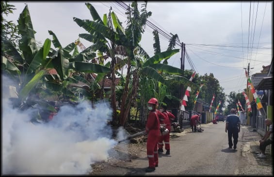 Satu Bulan, 855 Orang Terserang Cikungunya di Banyumas