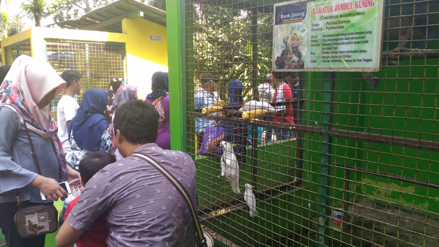 Perumda TRMS Serulingmas Berharap Lebaran Boleh Beroperasi