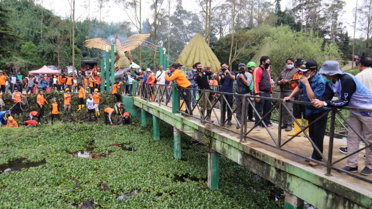 Telaga Merdada Dipenuhi Enceng Gondok