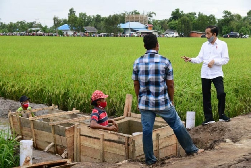 Food Estate Berpotensi Perparah Krisis Iklim