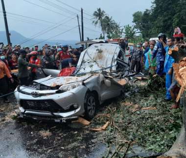 Mobil Rombongan dari Purwokerto Tertimpa Pohon di Randudongkal, Empat Penumpang Tewas Seketika