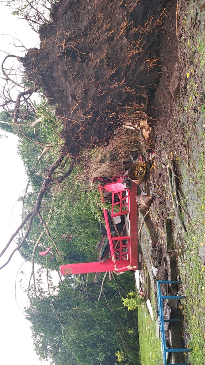 Angin Ribut, Rumah di Kutasari Rusak, Wisata Sanggaluri Park Purbalingga Porak Poranda