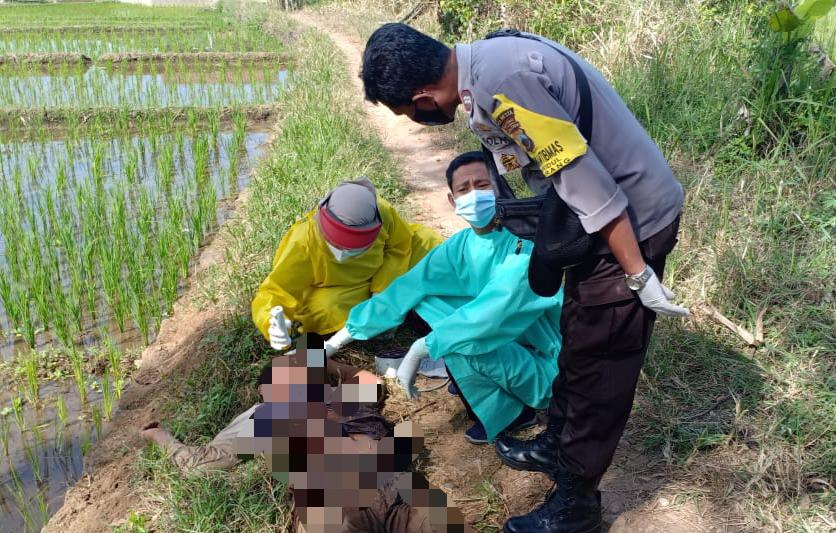 Diduga Dianiaya, Warga Desa Pucung Kroya Akhirnya Meninggal Usai Ditemukan di Tepi Sawah di Ajibarang