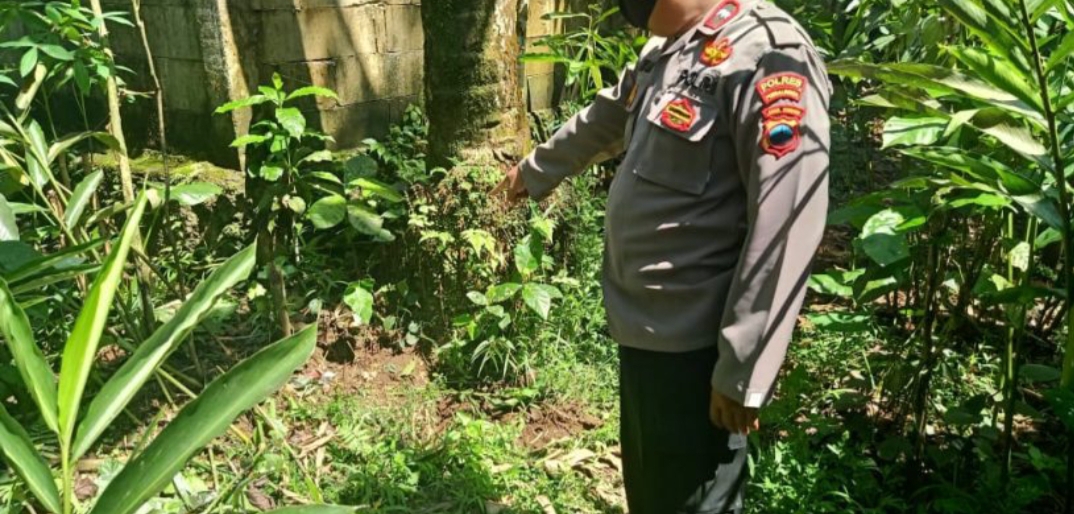 Terjatuh dari Pohon Setinggi 20 Meter, Penderes Kelapa asal Karangjengkol Meninggal Dunia