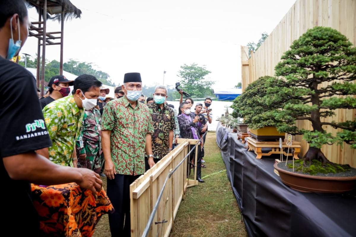 600 Bonsai Ikuti Kontes di Pagedongan Banjarnegara