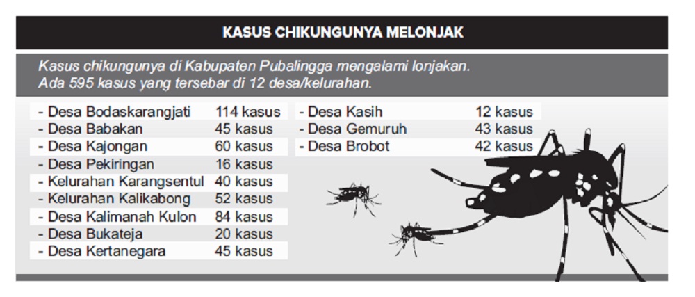 Chikungunya Mewabah di Purbalingga, Ditemukan 595 Kasus