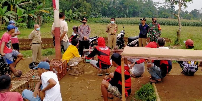 Lomba Burung Merpati di Bojong Mrebet Dibubarkan