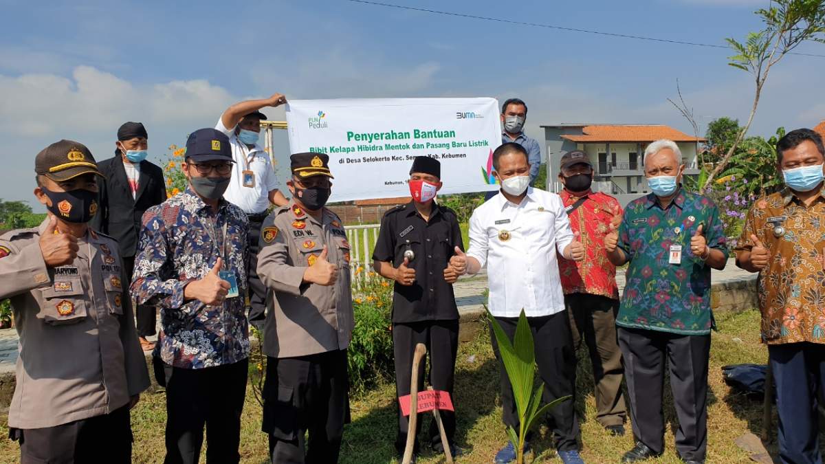 PLN Hijaukan Desa Selokerto, Kecamatan Sempor dengan Kelapa Mentok