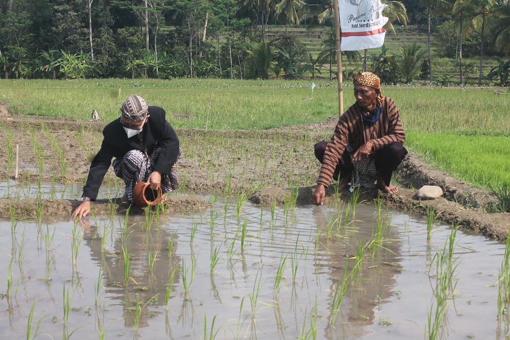 Tradisi Sedekah Sawah, Warga Banjarmangu Tebar 1 Kuintal Belut