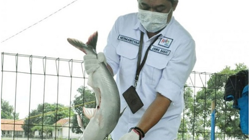 DKP Provinsi Jabar Bina 60 Petani Ikan dan Udang