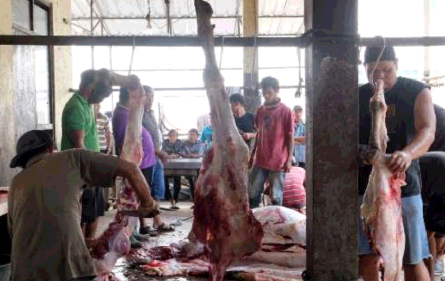 RPH di Banyumas Hanya Layani Pemotongan Sapi, Maksimal 50 Ekor Per Hari
