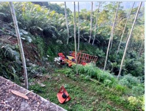 Jalan Menurun dan Menikung ke Kanan,Truk Pengangkut Ayam Masuk Jurang