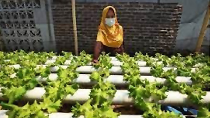 KPED Jabar Fasilitasi Urban Farming 1.000 Masjid