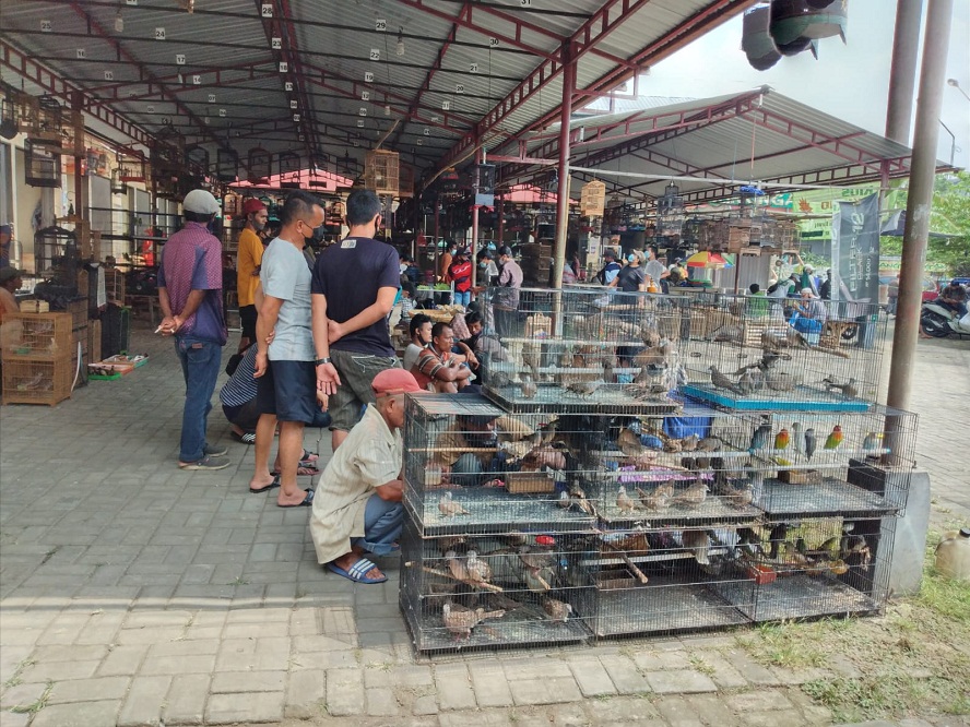 Pasar Peksi Bacingah Hanya Ramai di Akhir Pekan, Sebagian Memilih Tutup