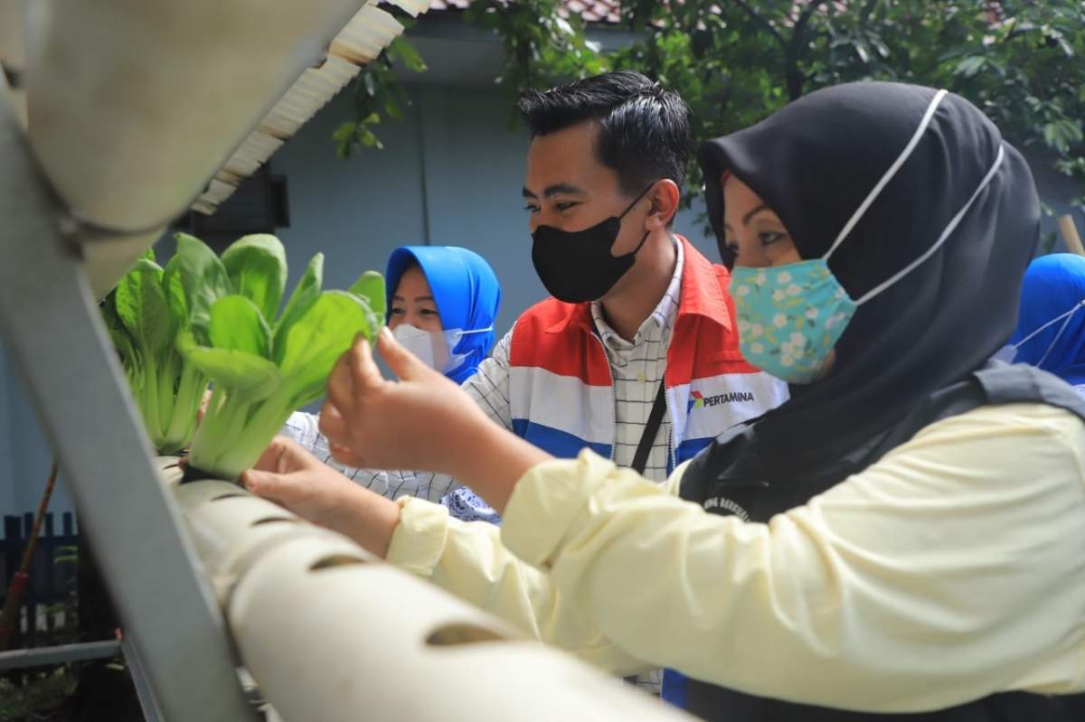 Cara Asyik Pertamina Berbagi Ilmu Hidroponik Bercocok Tanam Tanpa Tanah Lebih Bersih Dan Praktis