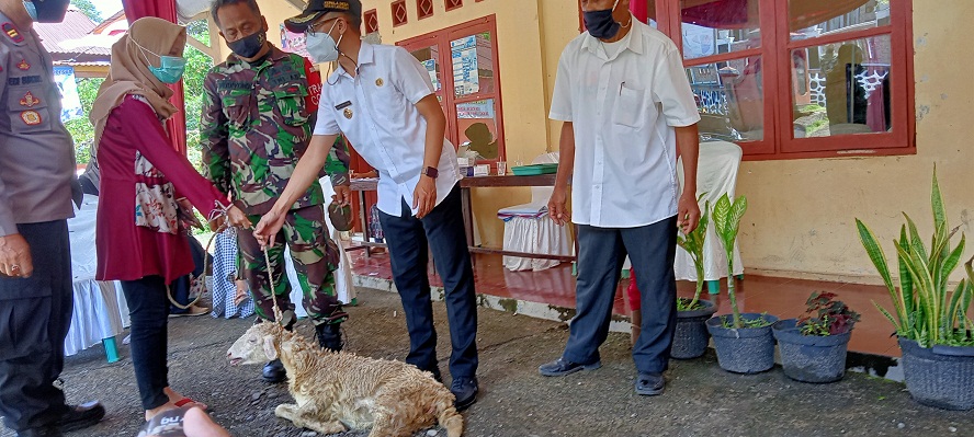 Vaksin di Desa Serayu, Purbalingga Diiiming-imingi Hadiah Kambing, Pemenangnya Warga yang Hendak Menikah