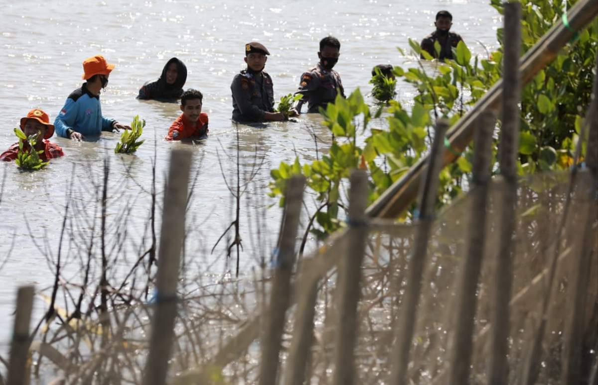 Selamatkan Bumi dan Kemanusiaan, Ganjar Siap Gaspol Tanam Mangrove