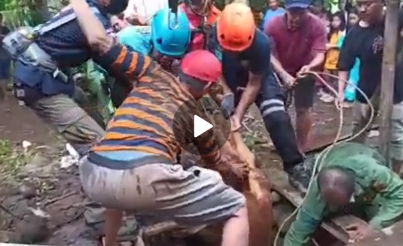 Sapi Jatuh di Sumur Kedalaman 18 Meter, Dievakuasi Damkar, Begini Kronologinya
