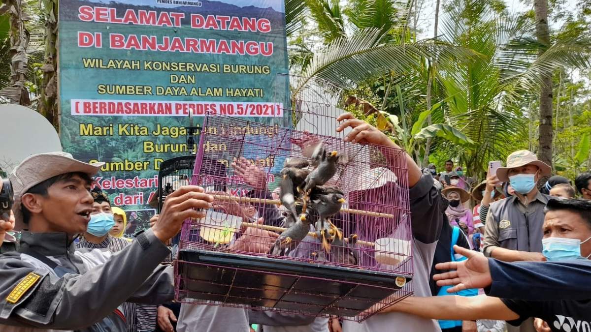 Ratusan Burung Endemik Dilepasliarkan di Banjarmangu Banjarnegara
