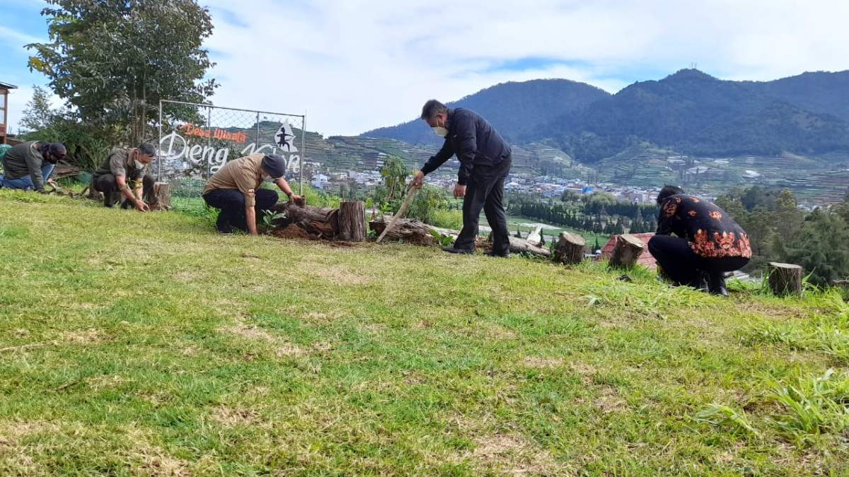 Satu Juta Kopi Ditaman di Dieng