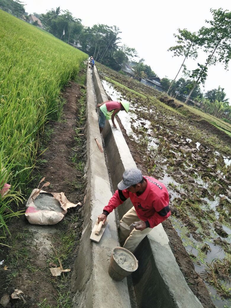 Wirapraja Minta Penggunaan DD Diperluas