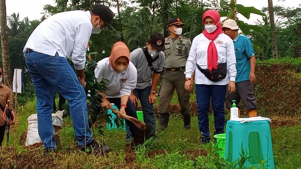 Wilayah Utara “Diserbu” 1.000 Bibit Pohon, Konservasi Daerah Tangkapan Air