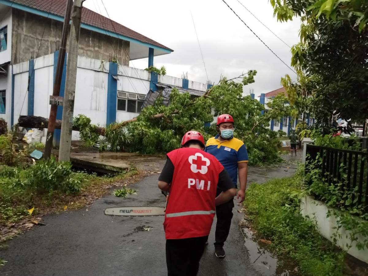 Hujan Disertai Angin Kencang Pohon Tumbang Di Kota Purwokerto Di Somagede Dan Ajibarang