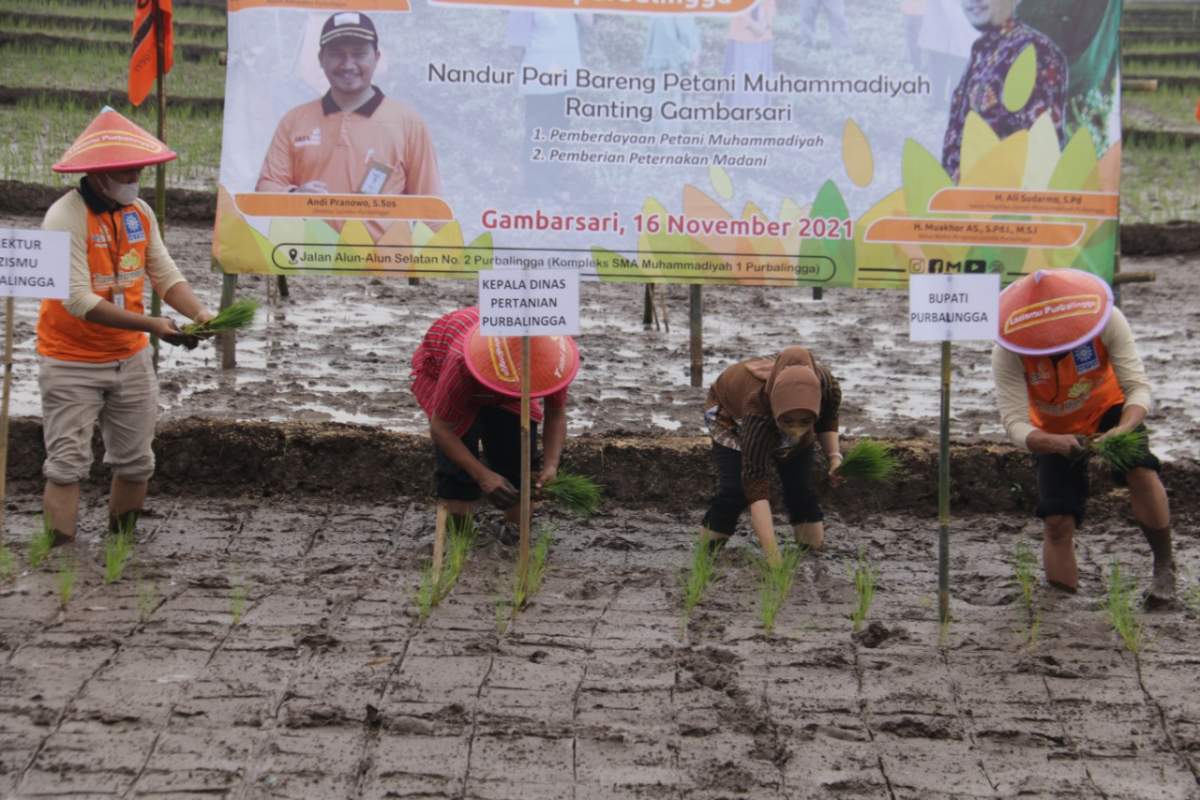 Bupati Dukung Program Tani Bangkit LazisMu