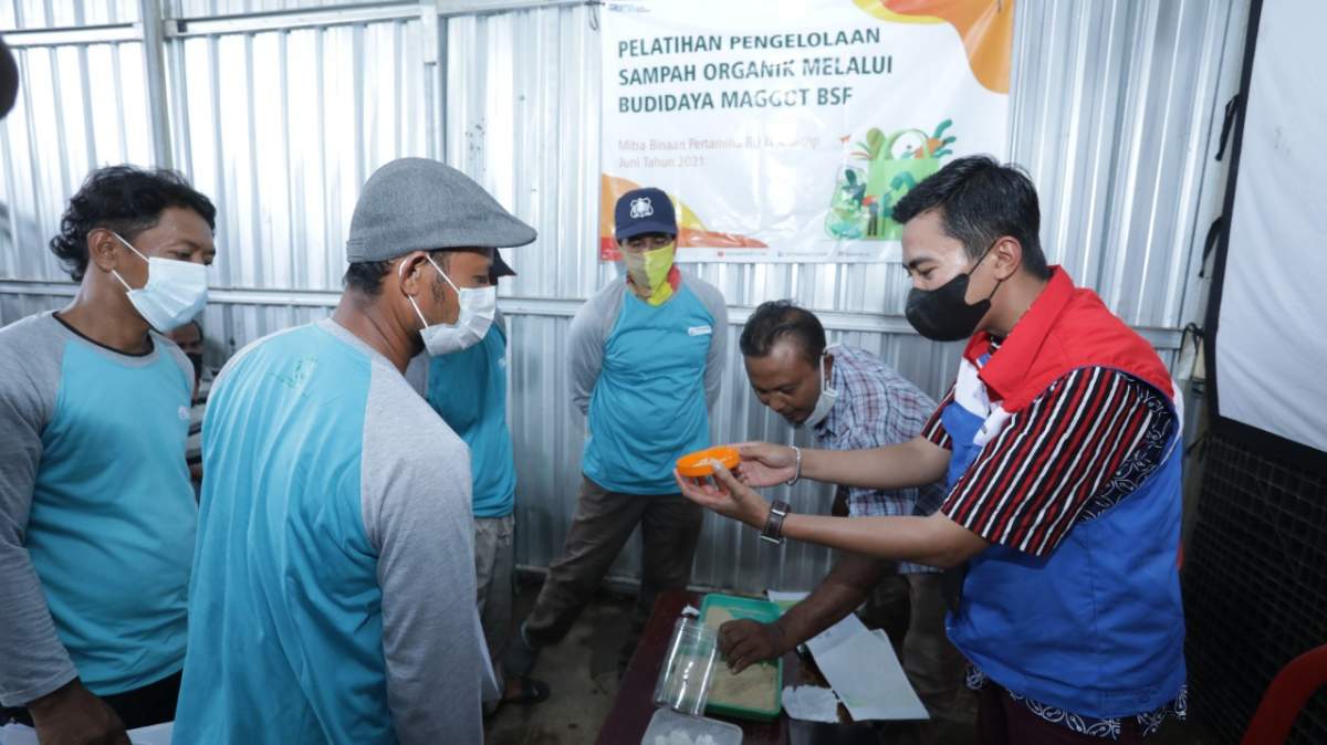 Kilang Pertamina Internasional Cilacap Berikan Pelatihan Maggot di Kutawaru, Maksimalkan Pemanfaatan Sampah Or