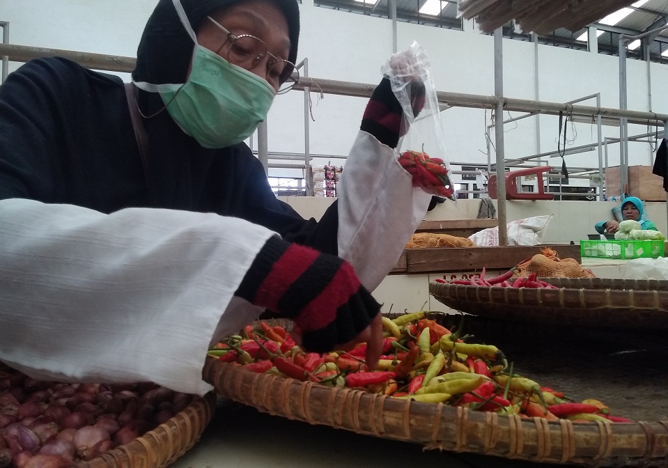Wow, Harga Cabai Rawit Tembus Rp 90 Ribu di Banyumas