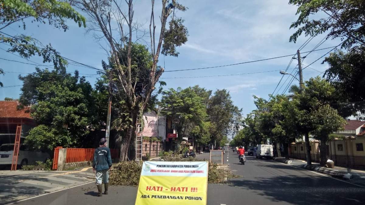 Cuaca Bisa Berubah Per 3 Jam, Hujan Lebat Diiringi Angin Kencang di Purbalingga