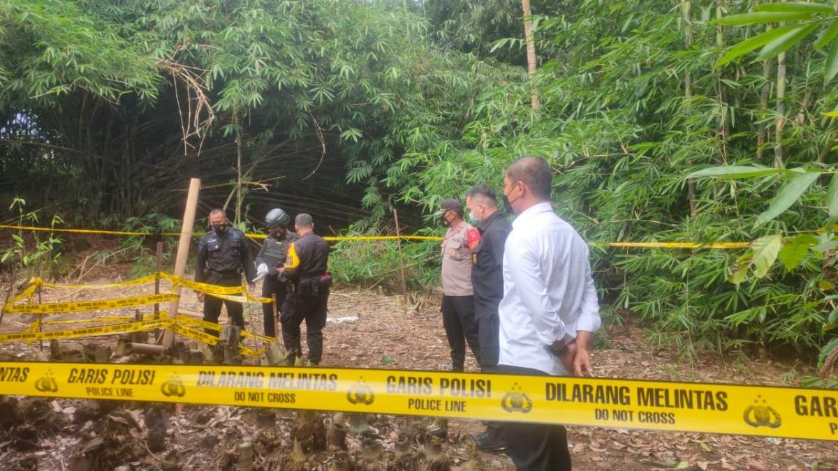 Tanam Pohon Pisang Temukan Granat Nanas