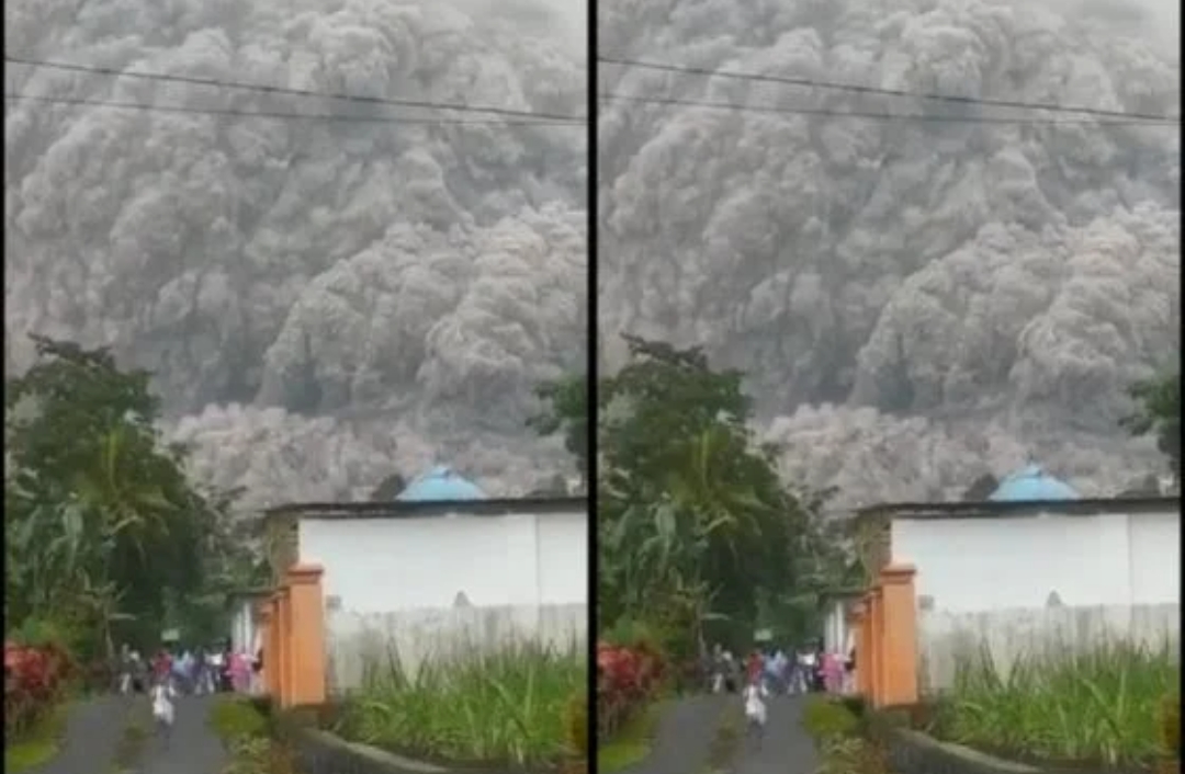 Gunung Semeru Alami Erupsi, Guguran Awan Panas Mengarah ke Desa Sapiturang, Kecamatan Pronojiwo, Lumajang, Jat