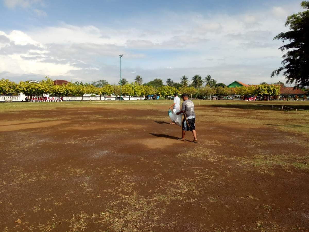 Tabur Garam, Alun-alun Banyumas Ditutup Empat Hari, Untuk Penanaman dan Pemeliharaan Rumput
