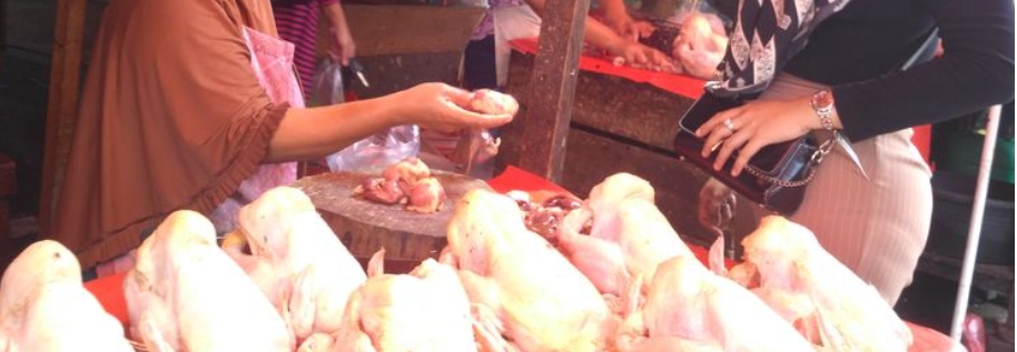 Igh... Pasutri Asal Bantul Jual Bakso Berbahan Ayam Tiren, Terungkap Selama 7 Tahun, Barangbuktinya Bangkai Ay