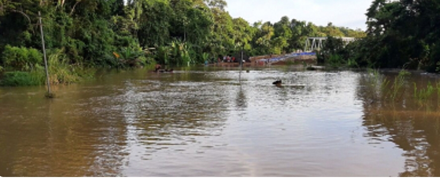 5.200 Rumah Warga di Kalimantan Terendam Banjir