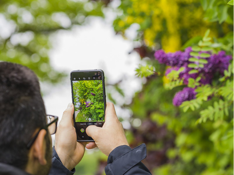 Suka Fotografi, Ini 5 Smartphone untuk Fotografi Terbaik