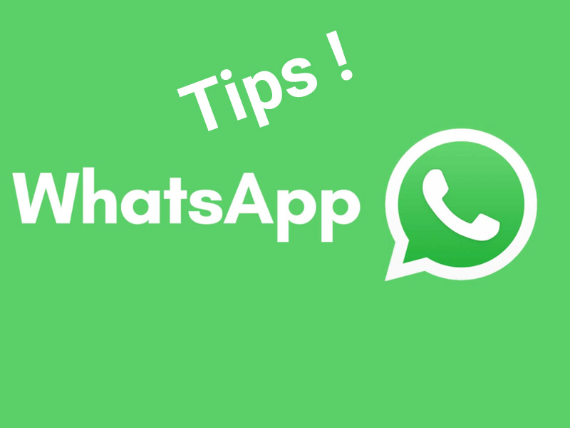 Wajib Tahu!, Trik WhatsApp yang Jarang Diketahui