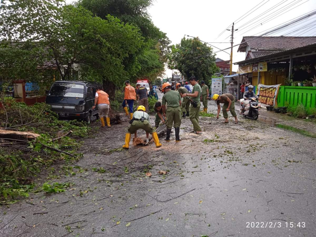 Tak Butuh Waktu Lama, Pohon Tumbang yang Menutup Seluruh Jalan Letjen Pol Sumarto Sudah Ditangani dan Bisa Dil