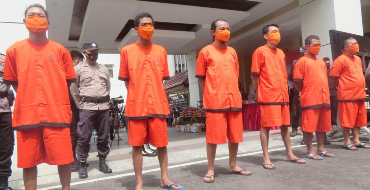 Tujuh Orang Jadi Tersangka Bertani Ganja, Sebut Kualitas Ganja Gayo Lues Terbaik Dari Seluruh Daerah