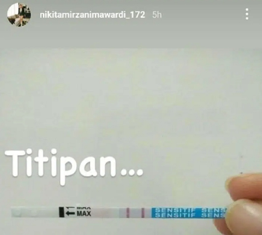 Heboh Postingan Nikita Mirzani, Warganet Heboh Hamil Anak Siapa?